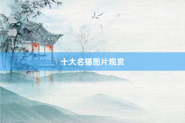 十大名猫图片观赏